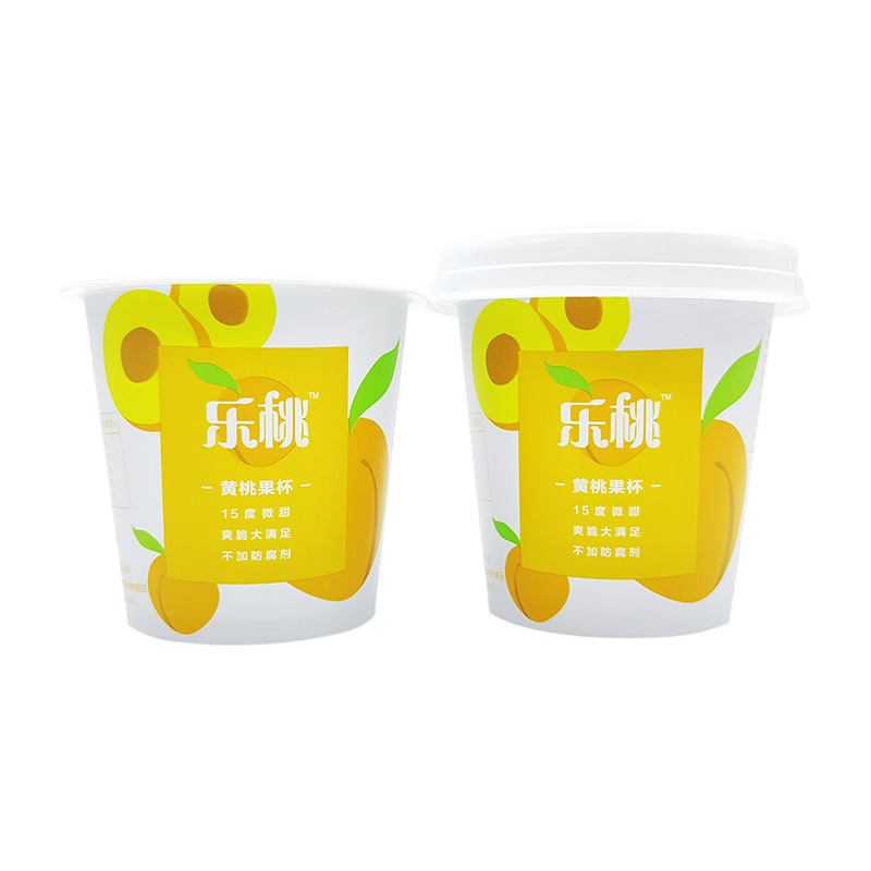 PP Plastic Injection Molding Container